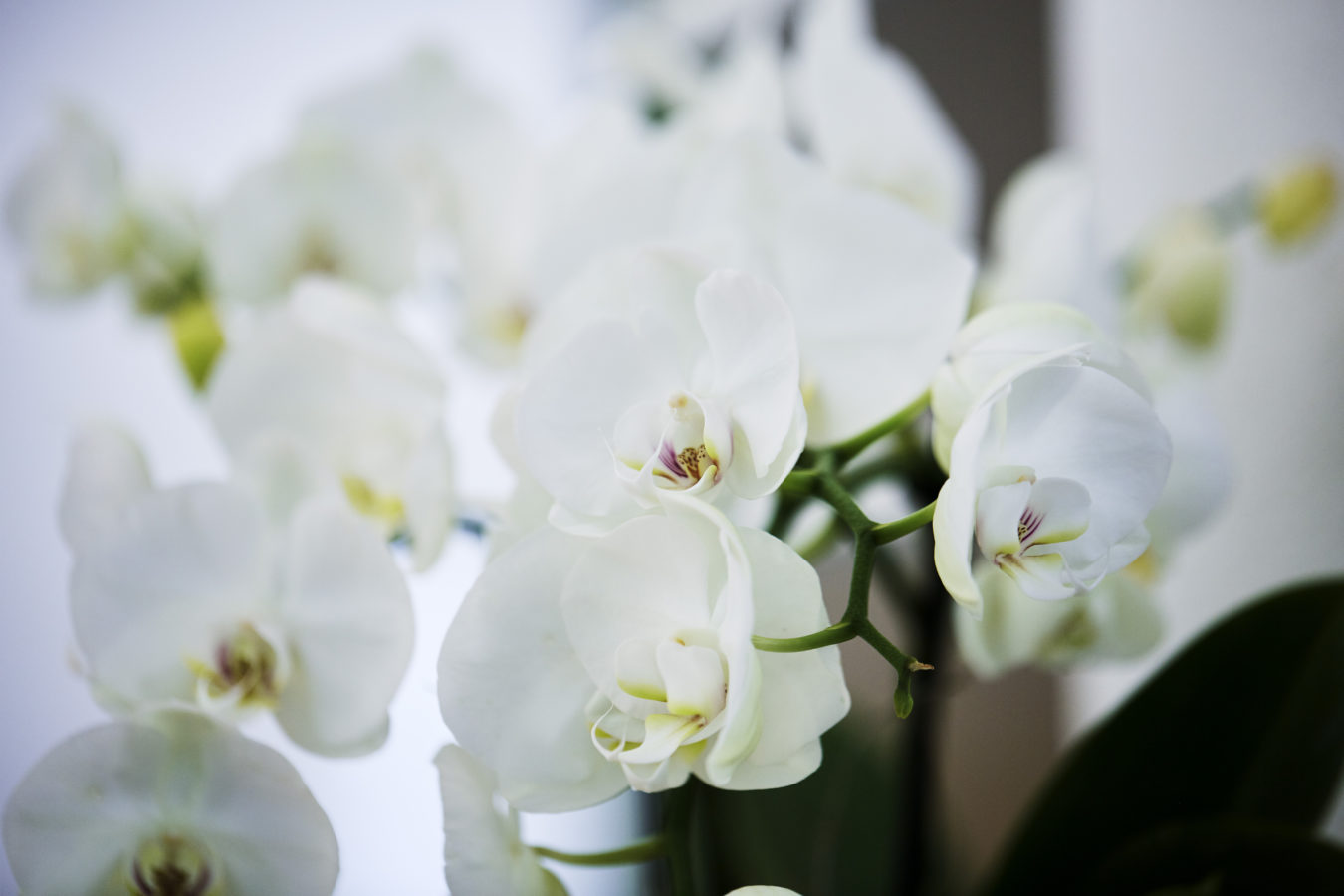 Dermateam Winterthur, Praxis Dermateam Winterthur5